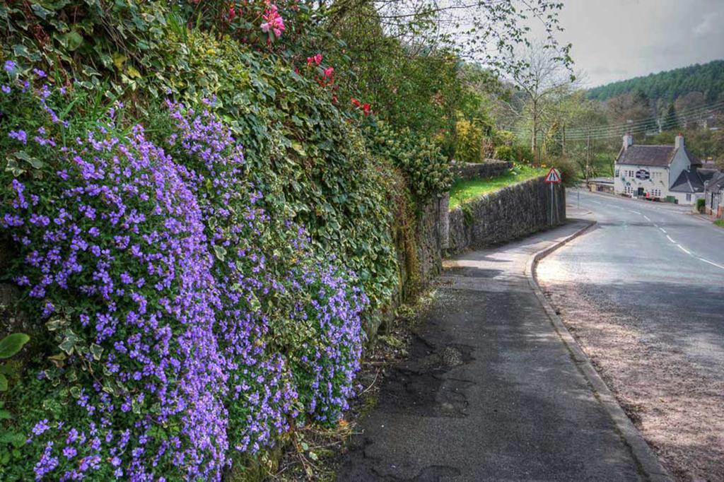 The Laurels B&B Oakamoor Exterior foto